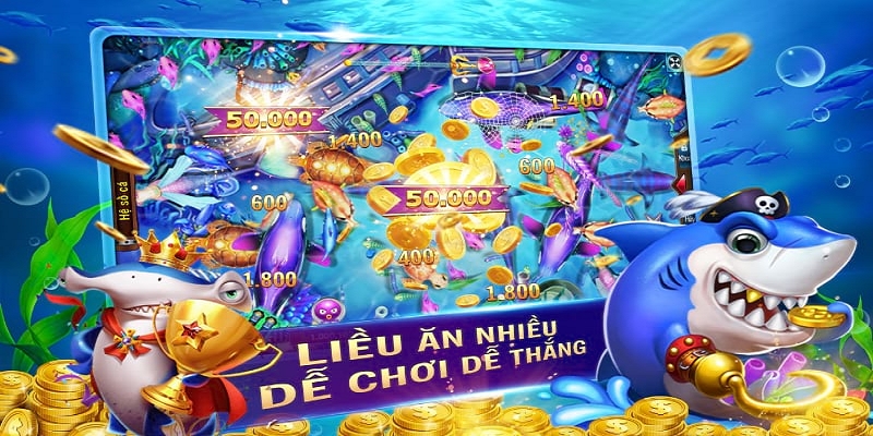 Các bước tham gia trò chơi Bingo Fishing tại nhà cái HDBET