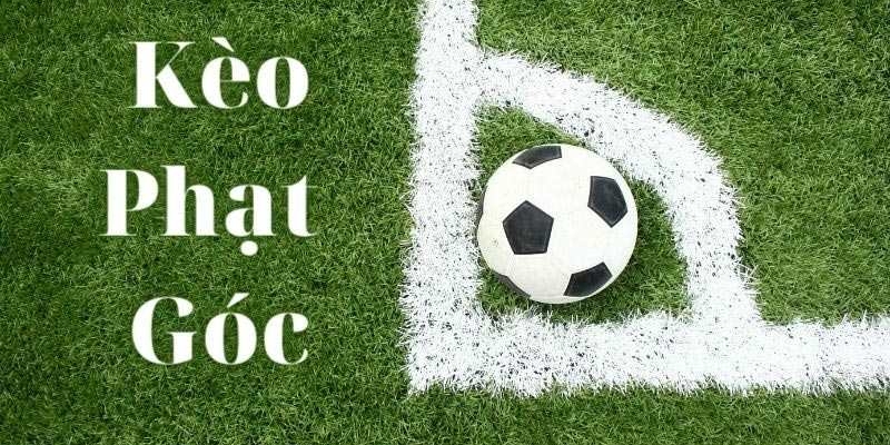 Tài Xỉu Phạt Góc - Hướng Dẫn Chi Tiết Cho Người Chơi Mới 20 Cách chơi kèo tài xỉu của phạt góc hiệu quả